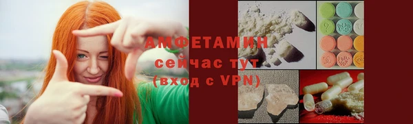 мет Алексин