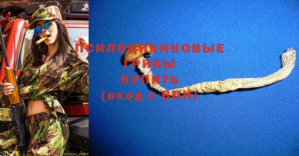 мет Алексин