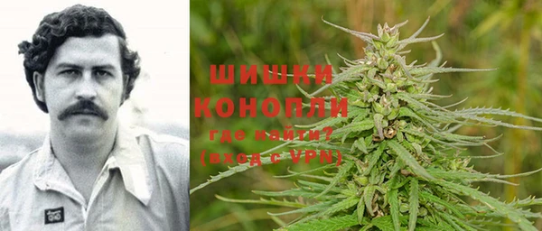мет Алексин