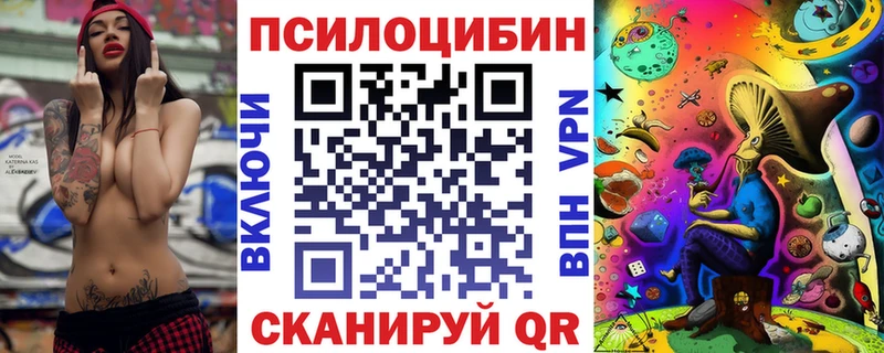 Псилоцибиновые грибы Psilocybe  Ардон 